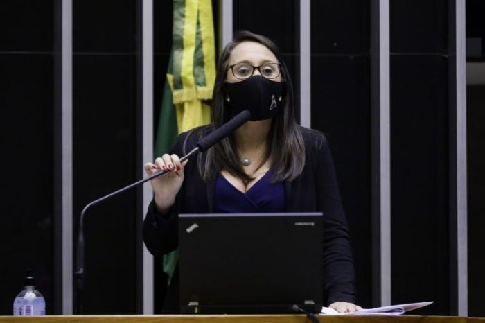 Renata Abreu: o segmento foi o mais prejudicado pela pandemia - (Foto: Najara Araújo/Câmara dos Deputados)