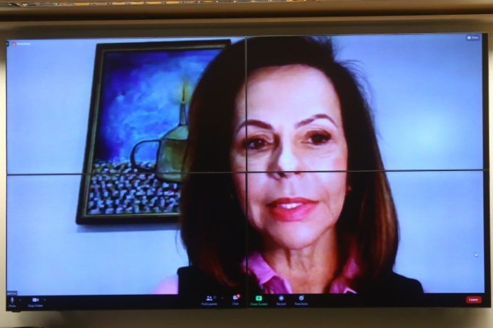 Dorinha Seabara Rezende lamenta que mulheres recebam salário 30% menor para realizar mesma função dos homens, mesmo tendo maior escolaridade - (Foto: Cleia Viana/Câmara dos Deputados)