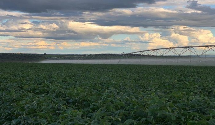 Irrigação de 800 hectares em Bandeirantes é reflexo da política de incentivo do Governo de MS