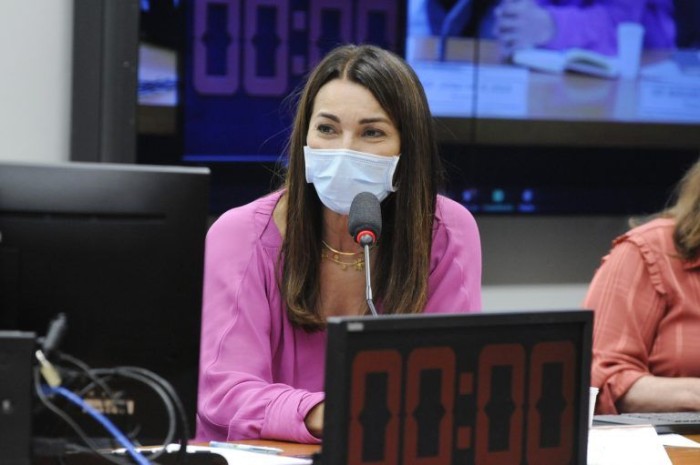 Margarete Coelho espera que novas regras sejam aprovadas a tempo das eleições de 2022 - (Foto: Gustavo Sales/Câmara dos Deputados)
