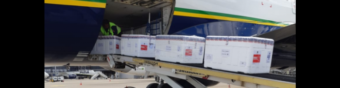 Minas recebe 542.550 novas doses de vacinas contra covid-19