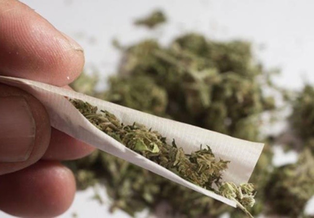 Nova York aprova legalização da maconha.