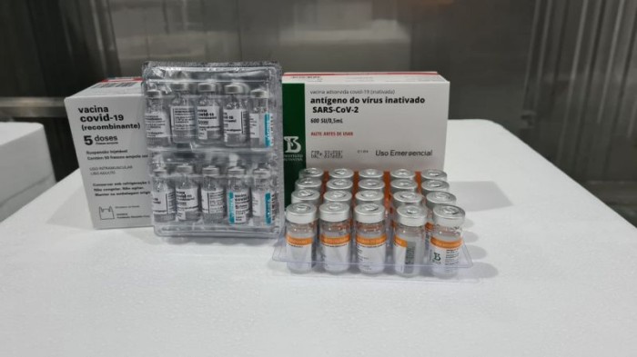 Estado recebe 478.150 doses para dar continuidade à imunização dos mineiros