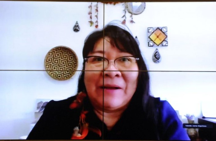 Projeto regulamenta profissões de agentes indígenas de saúde e de saneamento