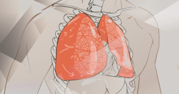 Poluição do ar prejudica recuperação de lesões pulmonares, sugere pesquisa