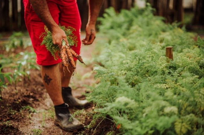 Sheila Fotografias / Divulgação Sejusp
