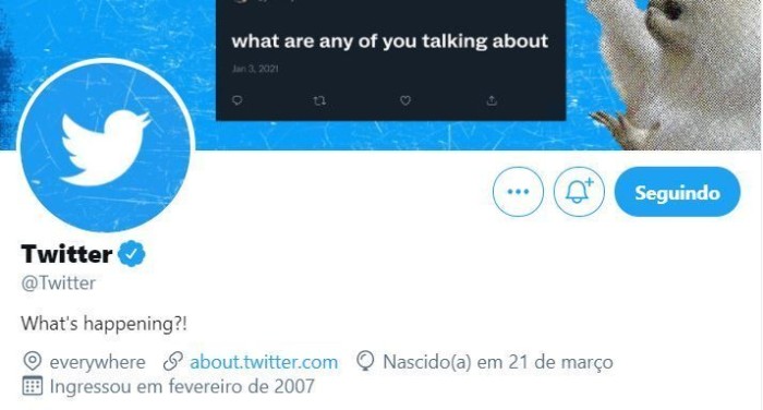 Cerca de 360 mil perfis possuem o selo azul de verificação no Twitter - (Foto: Reprodução)