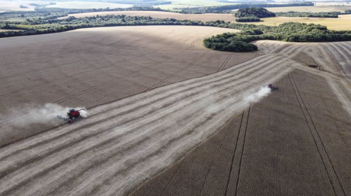 © Jonathan Campos/AEN