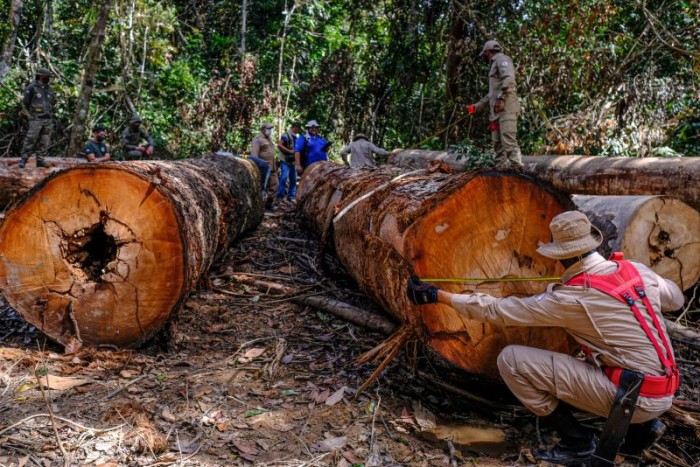 Operação Amazônia Arco Norte na região de Aripuanã - Desmatamento - Foto por: Mayke Toscano/Secom-MT