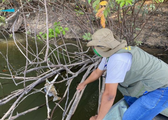 Fiscalização da qualidade da água do Rio Aripuanã - Foto por: Sema