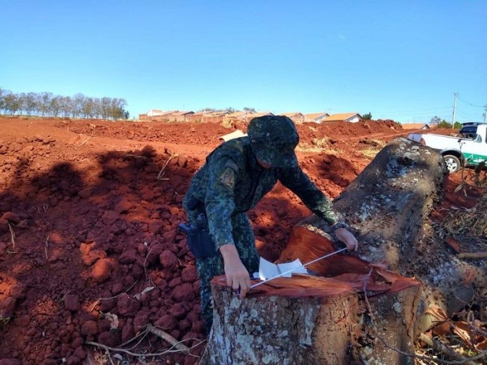 Foto: Reprodução/Secom São Paulo