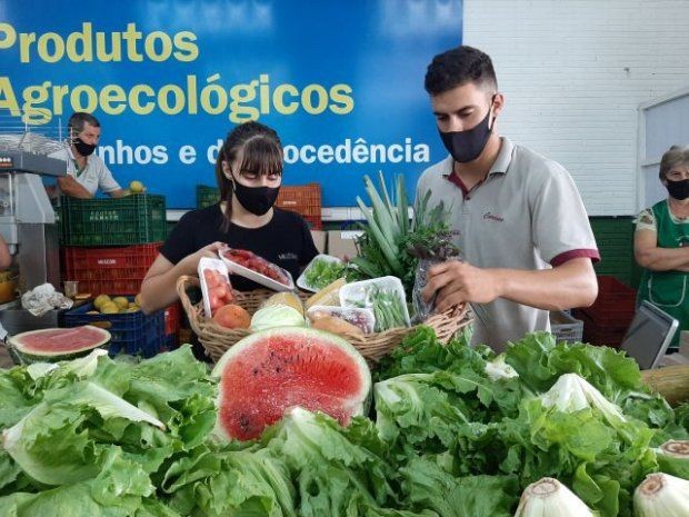 Foto: Divulgação/Epagri  Vendas on-line, feiras virtuais, presença em redes sociais e delivery. As dificuldades comerciais impostas pela pandemia da Covid-19 colocaram os agricultores familiares em uma nova realidade. Foi preciso inovar e adaptar os negóc