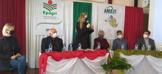 Foto: Divulgação/Amavi