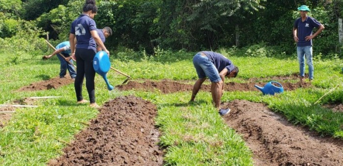 Alunos da Escola Técnica Buriti preparam uma horta - Foto por: Soraya Medeiros
