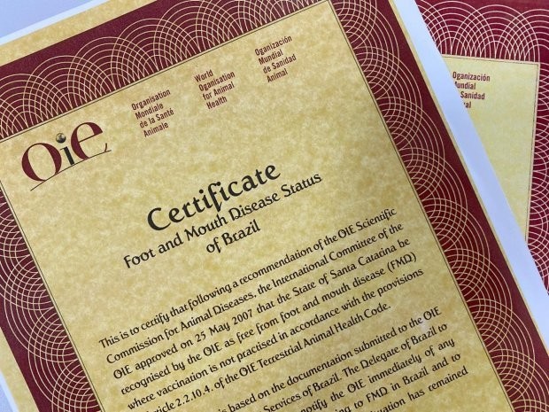 Foto: Divulgação / SAR