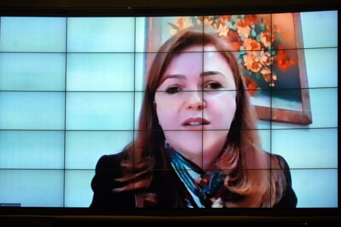 Leandre é autora do projeto - (Foto: Pablo Valadares/Câmara dos Deputados)