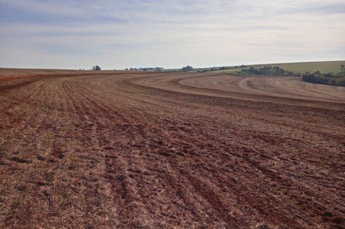 © Camila Roberta Javorski Ueno/Adapar