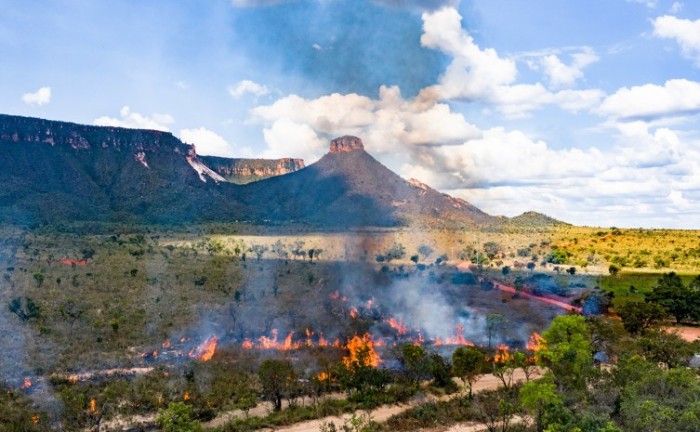 As atividades do MIF têm como objetivo criar mosaicos de queima precoce para evitar incêndios no auge da seca, que geralmente ocorrem entre os meses de julho e outubro - Foto: Fernando Alves/Governo do Tocantins