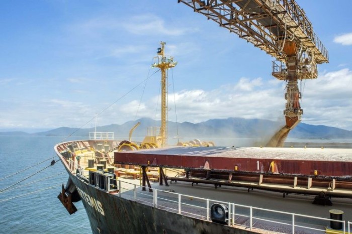 Práticos são os profissionais que manobram embarcações nas zonas de navegação - (Foto: Jose Fernando Ogura/AEN)