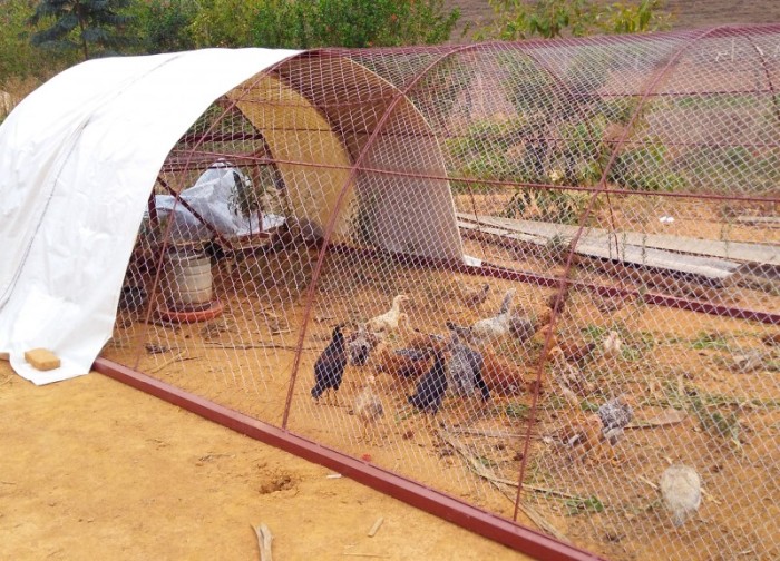 Divulgação / Emater-MG