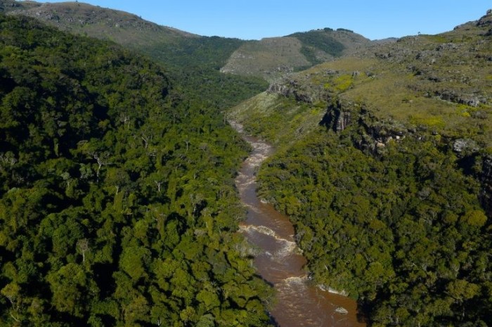 Iniciativa faz parte das ações pelo Dia Mundial do Meio Ambiente, celebrado em 5 de junho - (Foto: Denis Ferreira Netto/Agência de Notícias do Paraná)