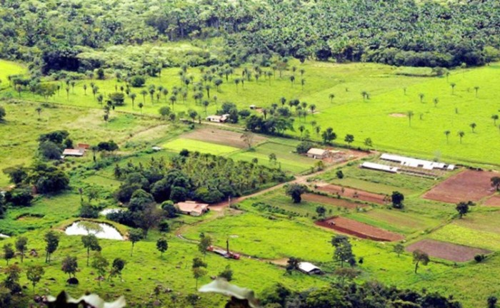Mutirão de renegociação ocorre na Agência do Banco do Brasil de Paranã - Foto: Ruraltins/Governo do Tocantins