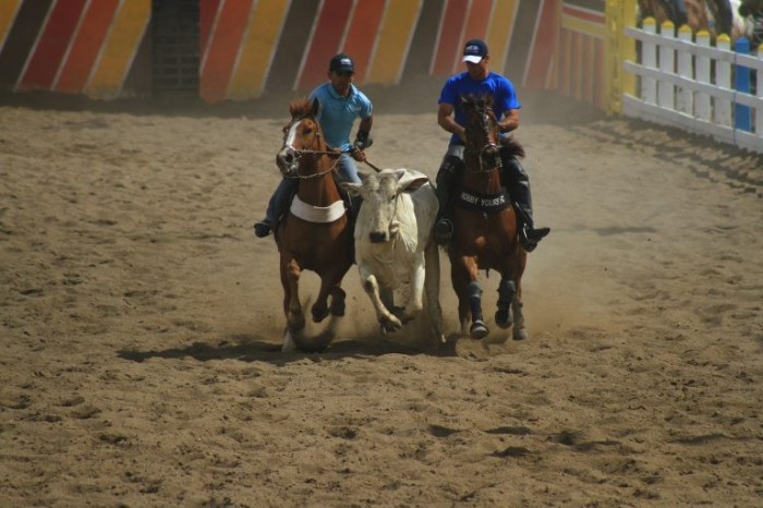Audiência vai discutir a vaquejada como atividade desportiva formal - (Foto: Tatiana Azeviche/Governo da Bahia)