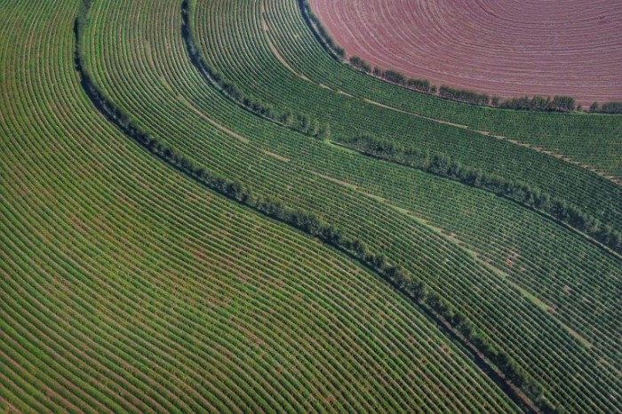 Foto: José Fernando Ogura/Agência de Notícias do Paraná