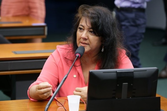 Christiane Yared: transparência é objetivo louvável - (Foto: Michel Jesus/ Câmara dos Deputados)