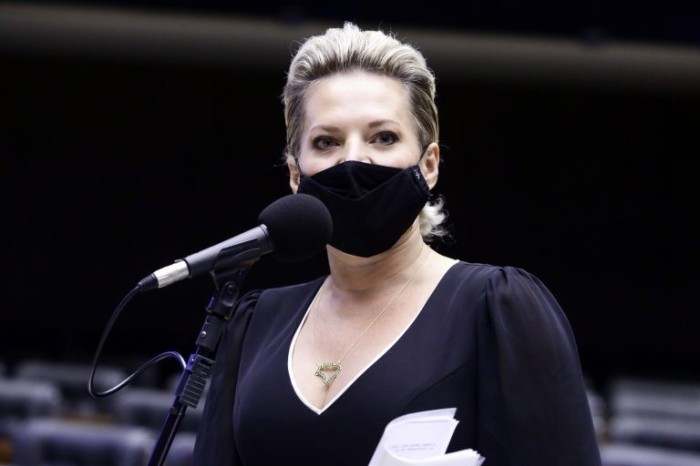 Hasselmann acatou emendas ao projeto original - (Foto: Cleia Viana/Câmara dos Deputados)