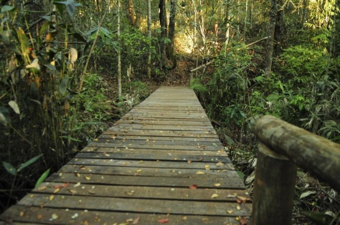 Turismo rural pode ser nova possibilidade de empreendimento - (Foto: Pedro Ventura/Agência Brasília)