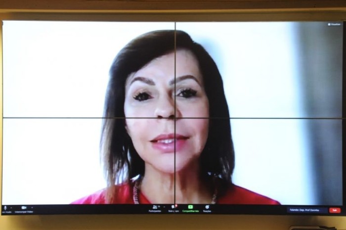 Dorinha Seabra espera que o ministro Fábio Faria inclua as escolas no leilão do 5G - (Foto: Gustavo Sales/Câmara dos Deputados)