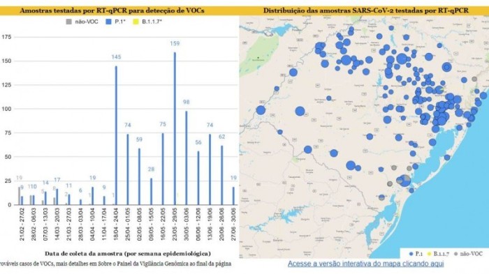 Novo painel de vigilância genômica - Foto: Reprodução
