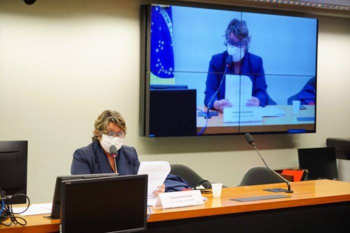 Para Erika Kokay, boa parte das recomendações não estão sendo cumpridas - (Foto: Pablo Valadares/Câmara dos Deputados)