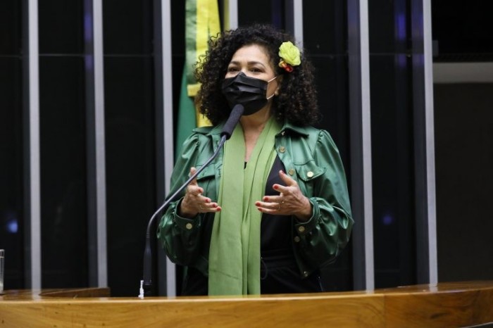 Perpétua Almeida: as rádios comunitárias não têm caráter comercial e necessitam de apoio - (Foto: Michel Jesus/Câmara dos Deputados)