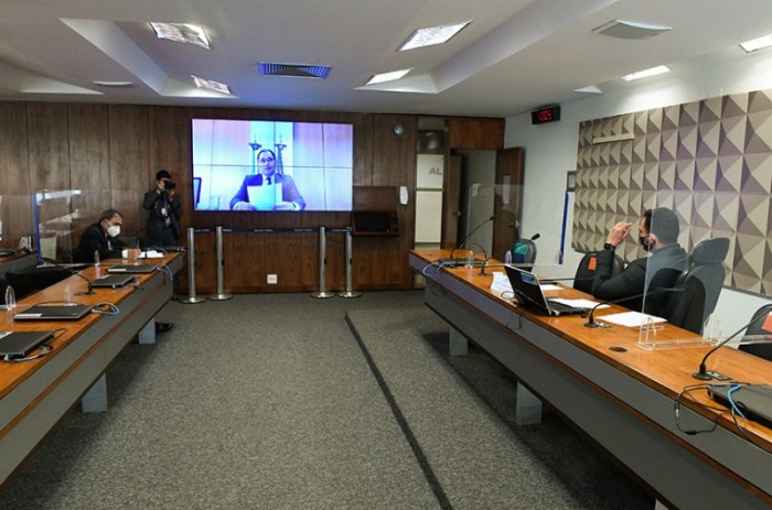 A audiência virtual foi presidida pelo senador Styvenson Valentim (D) - Edilson Rodrigues/Agência Senado