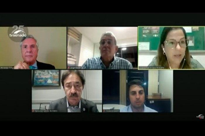 Reunião, que contou com representantes da administração federal, foi coordenada pelo senador Fernando Collor (Pros-AL), que presidente a Comissão de Desenvolvimento Regional - Reprodução/Tv Senado