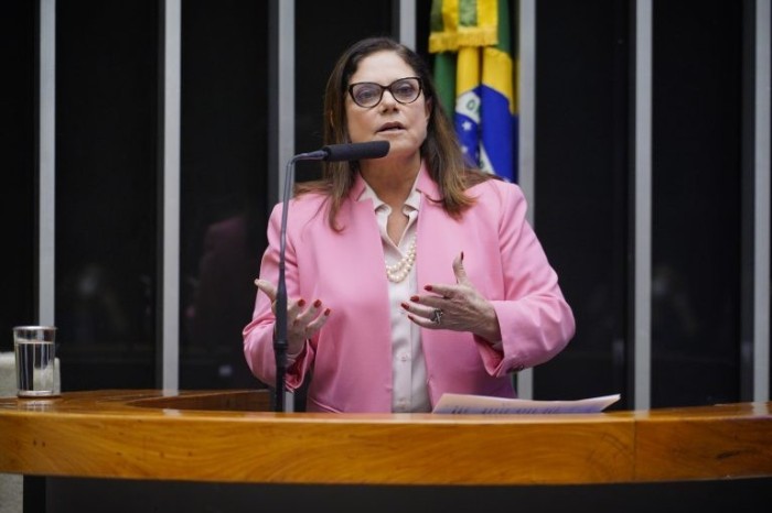 Soraya Santos: a proposta vai efetivar um direito assegurado na Constituição - (Foto: Pablo Valadares/Câmara dos Deputados)