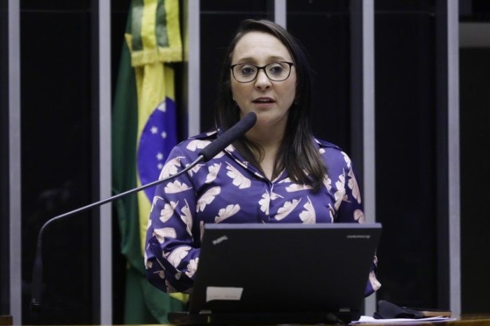 Renata Abreu: desabastecimento de arroz e carne tem se tornado comum - (Foto: Najara Araújo/Câmara dos Deputados)