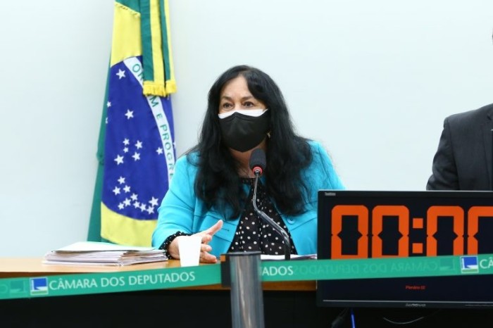 Comissão é presidida pela senadora Rose de Freitas (MDB-ES) - (Foto: Gustavo Sales/Câmara dos Deputados)