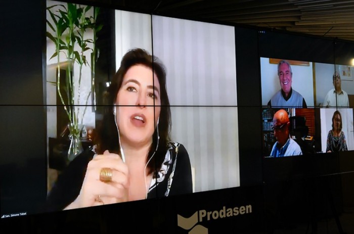 Simone Tebet, autora da proposta, em reunião remota do Senado 