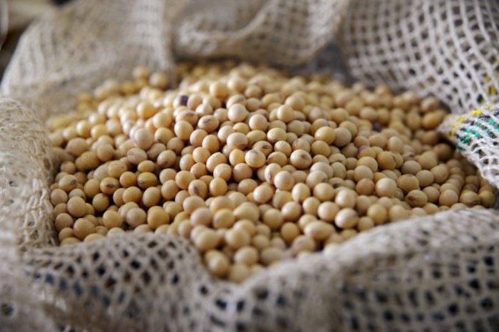 Gil Leonardi / Imprensa MG