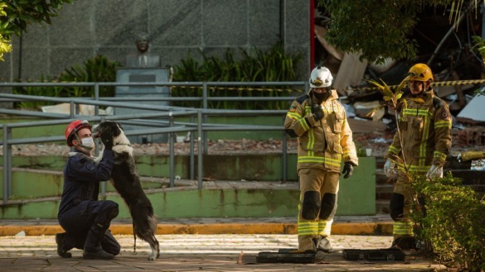 Operação de busca e resgate conta com binômios: servidor do CBMRS com seu cão treinado - Foto: Felipe Dalla Valle / Palácio Piratini