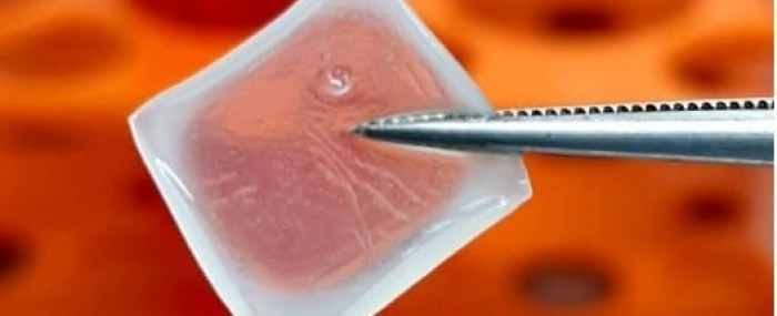 Biocurativo de células-tronco permite o tratamento inteligente de feridas e queimaduras