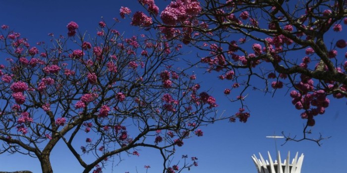 © Marcelo Camargo/Agência Brasil