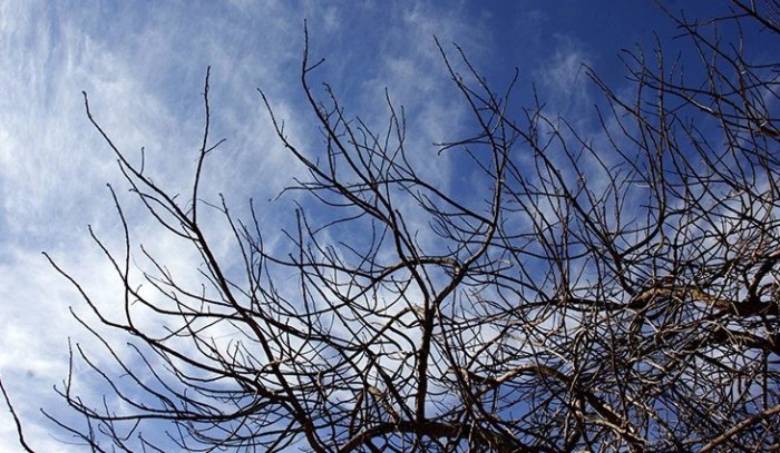 Ar frio e seco predomina nesta terça-feira em Mato Grosso do Sul