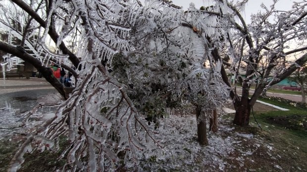 Foto: Divulgação/Prefeirura de São Joaquim A massa de ar polar que vai se distanciando de Santa Catarina provocou mais um dia de frio intenso e fez o estado registrar a temperatura mais fria do Brasil em 2021, até agora. No início da manhã desta sexta-fei
