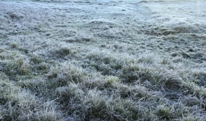 Divulgação / Emater-MG