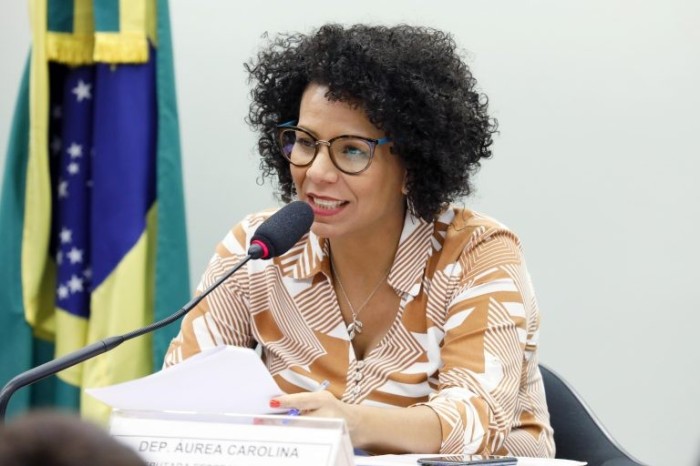 Áurea: política de preservação cultural não pode ficar restrita - (Foto: Cleia Viana/Câmara dos Deputados)
