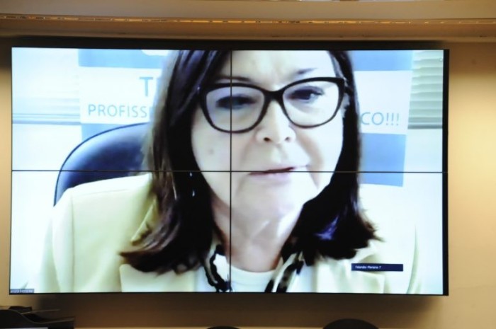 Leonora Horn Schneider defende criação de conselho federal da área - (Foto: Gustavo Sales/Câmara dos Deputados)